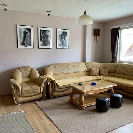 Apartmani Alo Alo Plav Ngoại thất bức ảnh