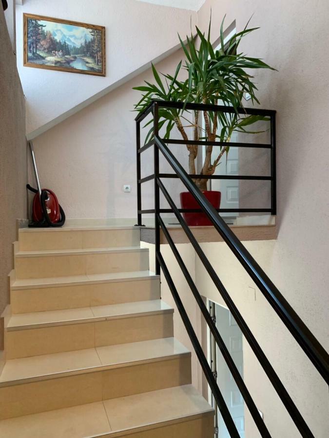 Apartmani Alo Alo Plav Ngoại thất bức ảnh